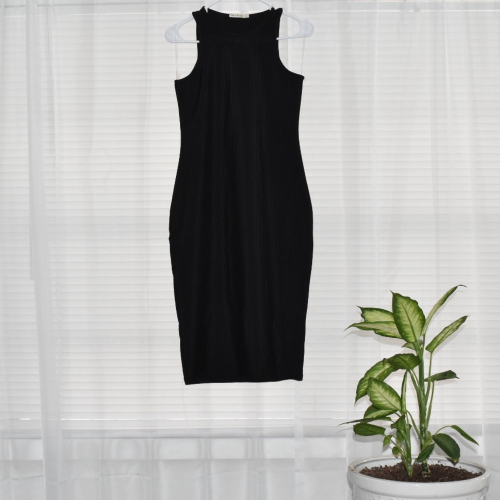 Sleeveless Knee Length Bodycon Dress